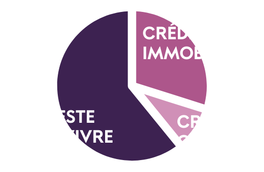 pensez courtage pie graph avant